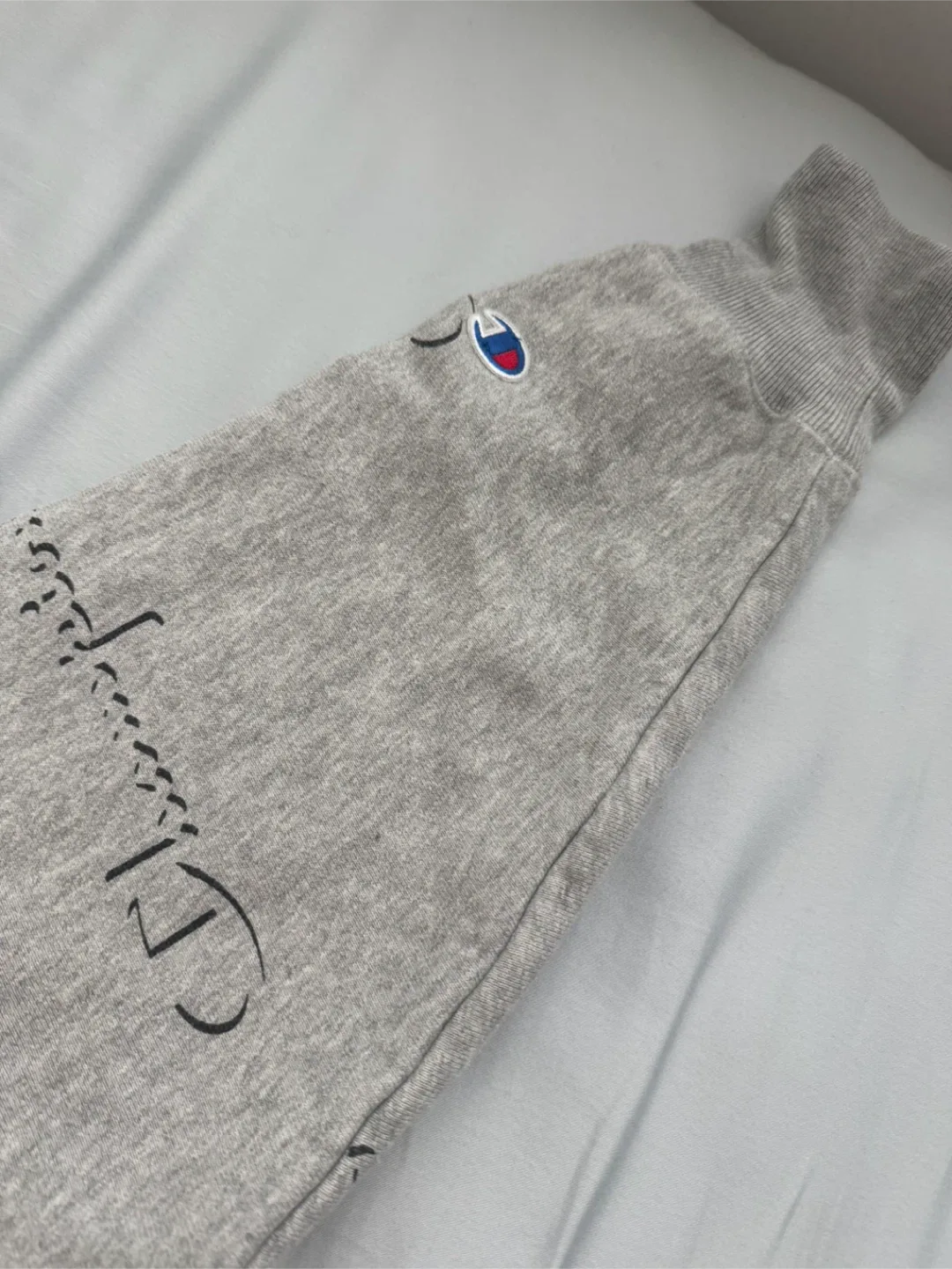 Champion Reverse Weave Hoodie - Large image indicator(5)