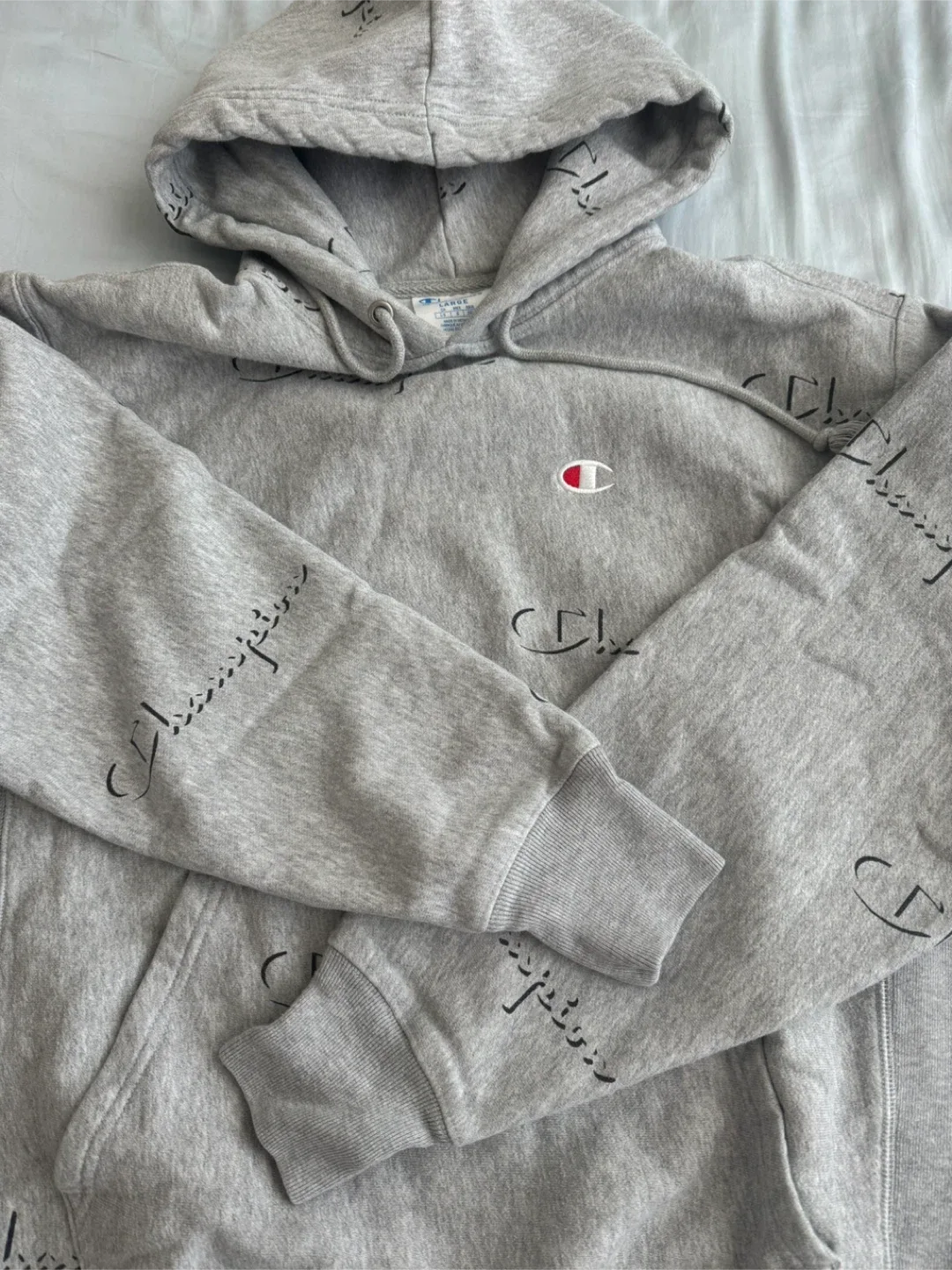 Champion Reverse Weave Hoodie - Large image indicator(2)