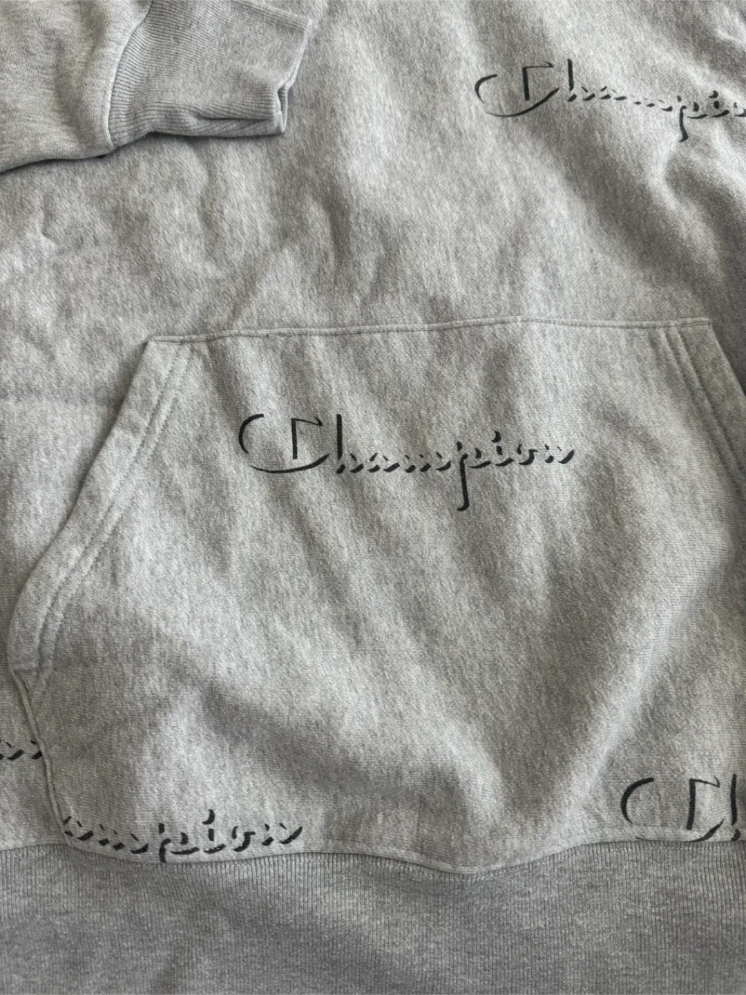 Champion Reverse Weave Hoodie - Large image indicator(3)