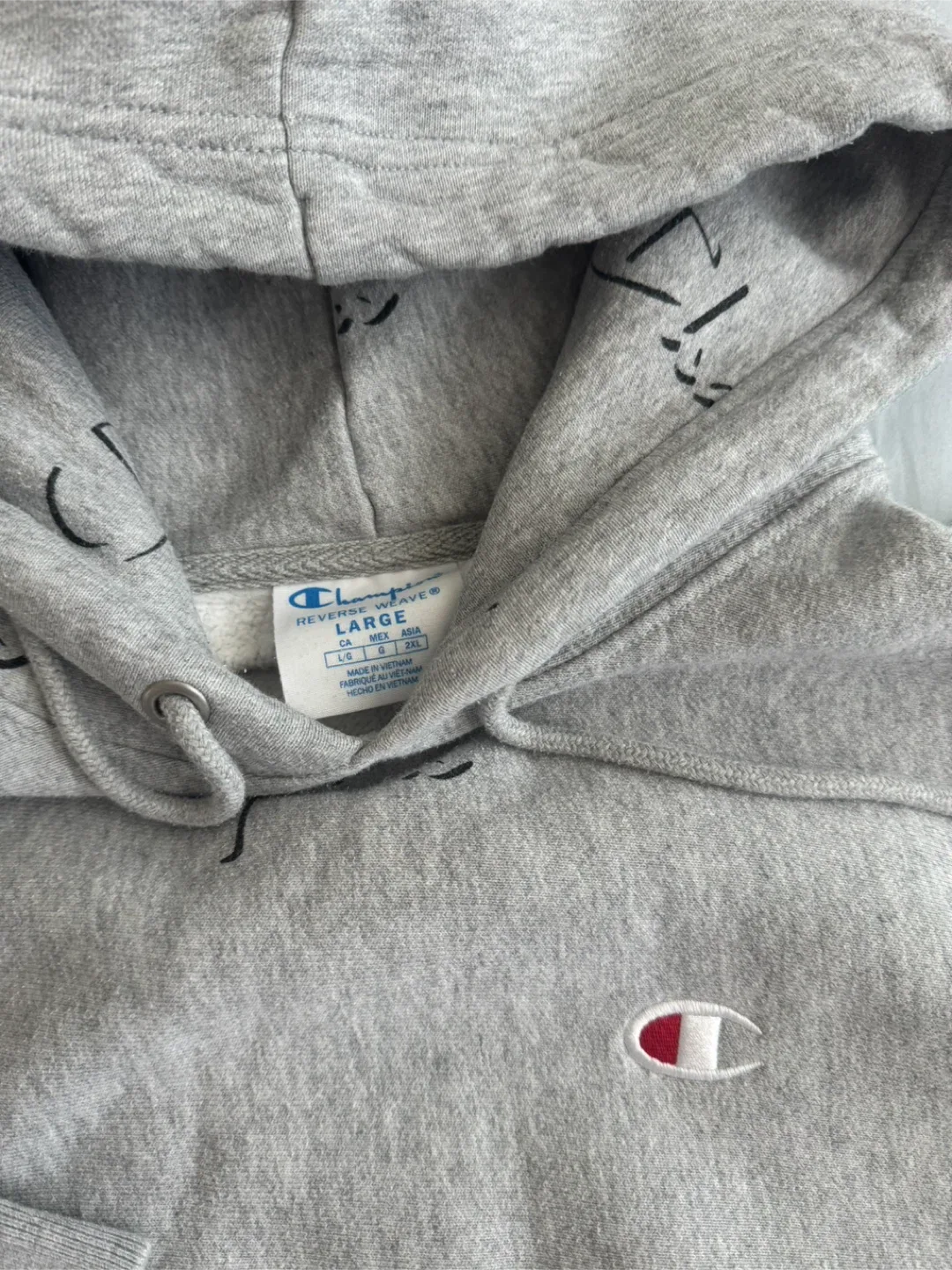 Champion Reverse Weave Hoodie - Large image indicator(4)