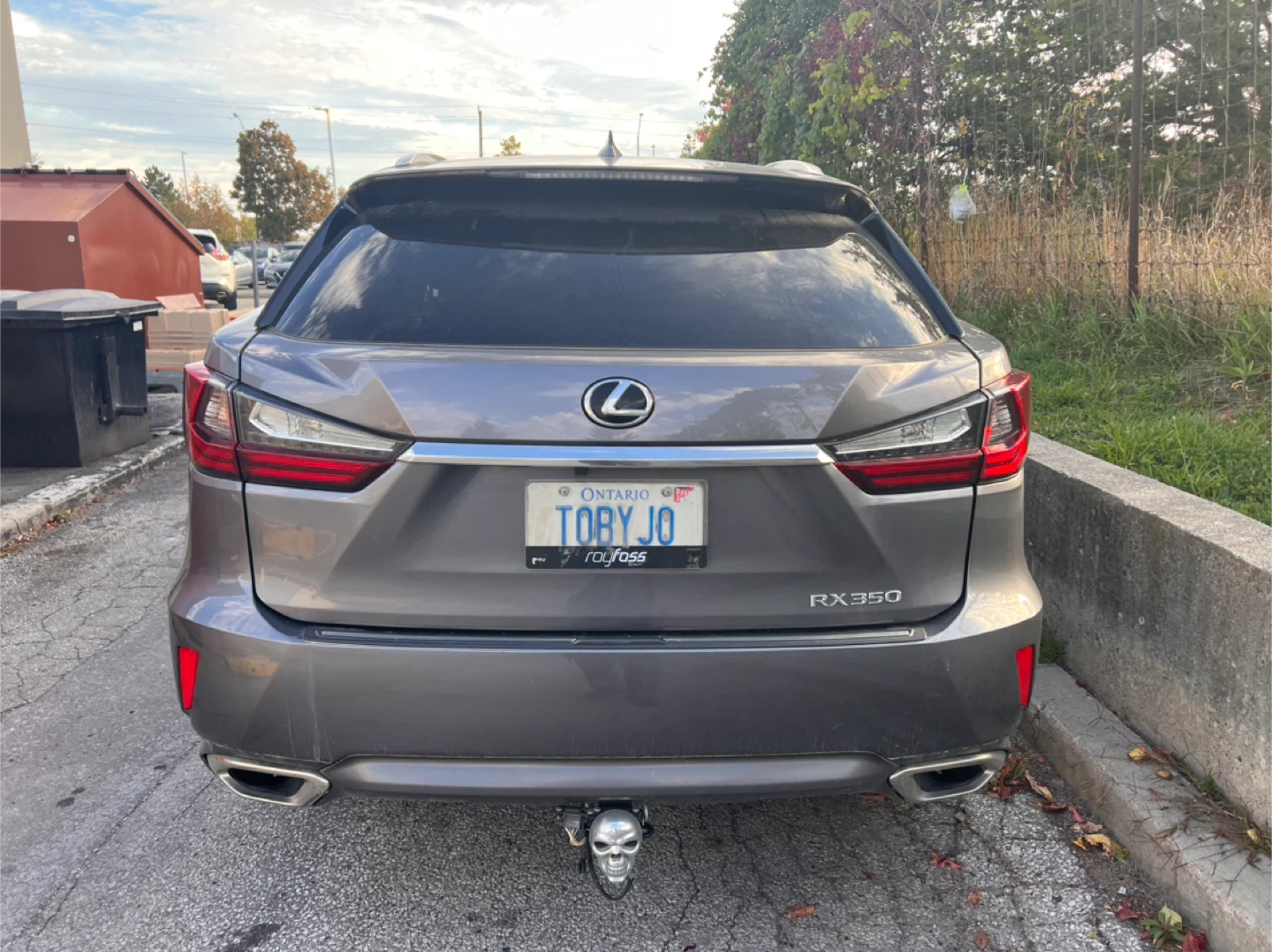 Lexus’s RX 350 2019