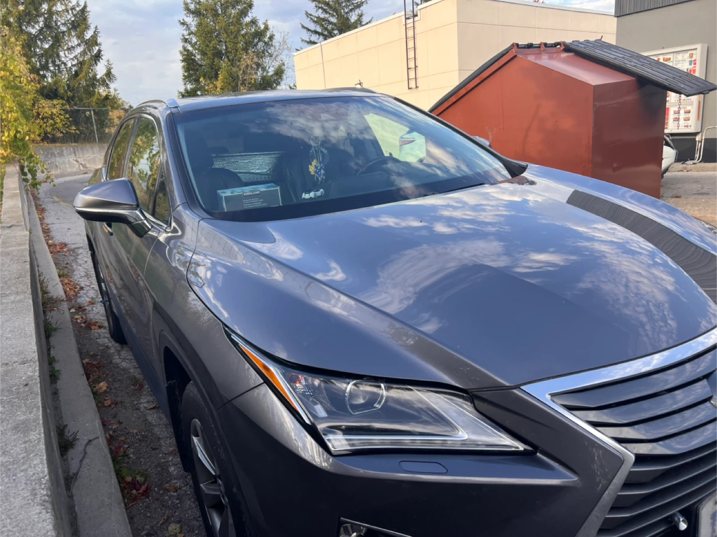 Lexus’s RX 350 2019 - photo 4