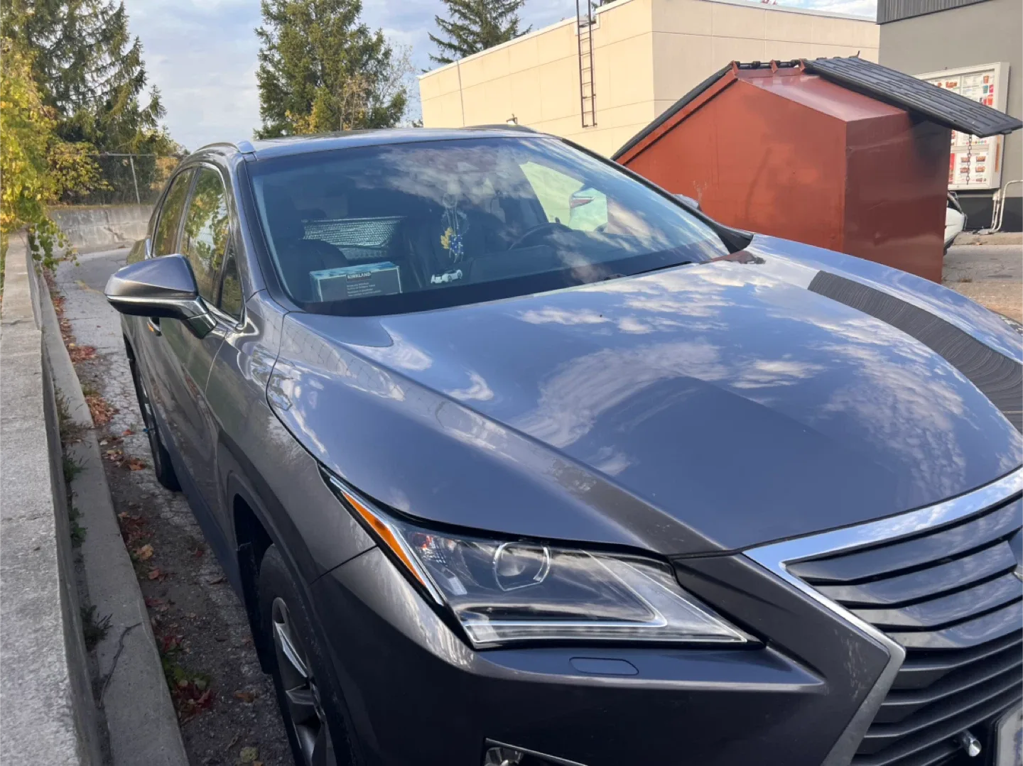 Lexus’s RX 350 2019 image indicator(4)