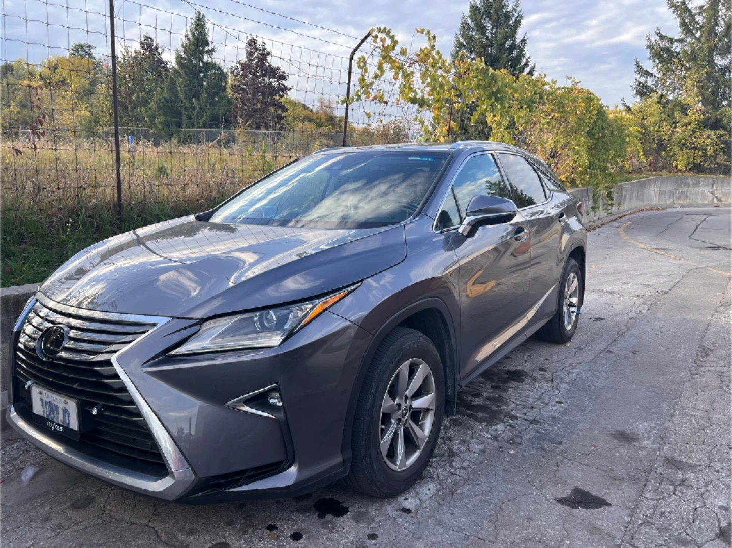 Lexus’s RX 350 2019 - photo 3