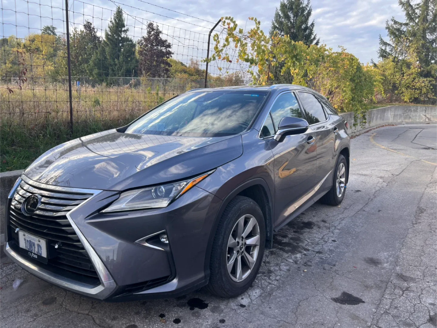 Lexus’s RX 350 2019 image indicator(3)