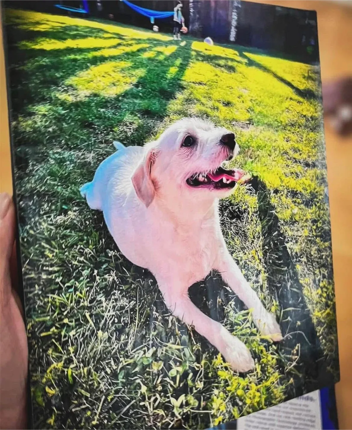 Customized Photo Prints on Canvas image indicator(4)