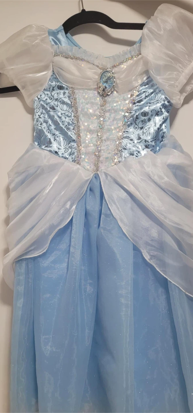 Cinderella Costume Dress