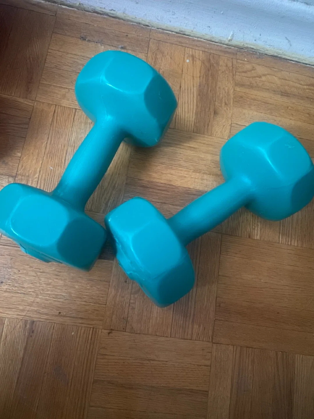 2.5 kg Dumbbells - Teal thumbnail