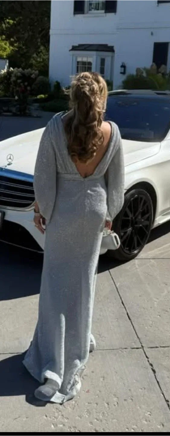 Gorgeous formal silver dress image indicator(2)