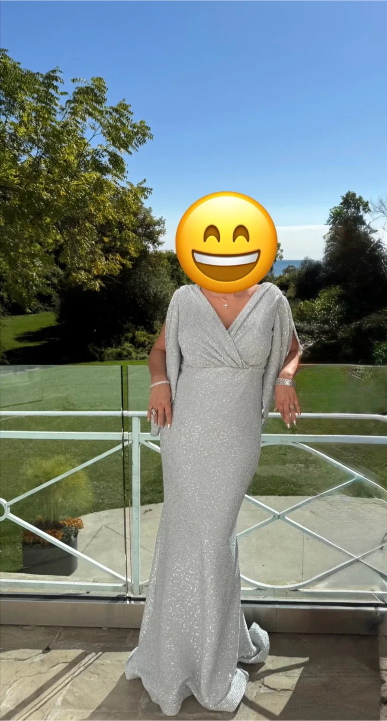 Gorgeous formal silver dress