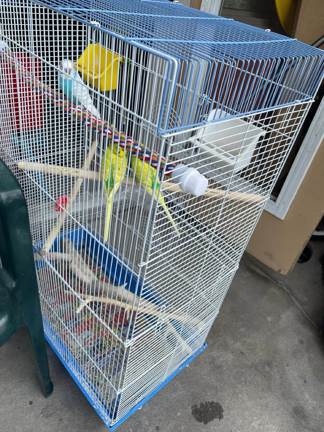 huge Bird cage image indicator(2)