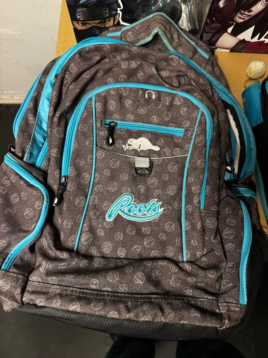Roots Backpack & Lunch Bag + Five star binder image indicator(2)
