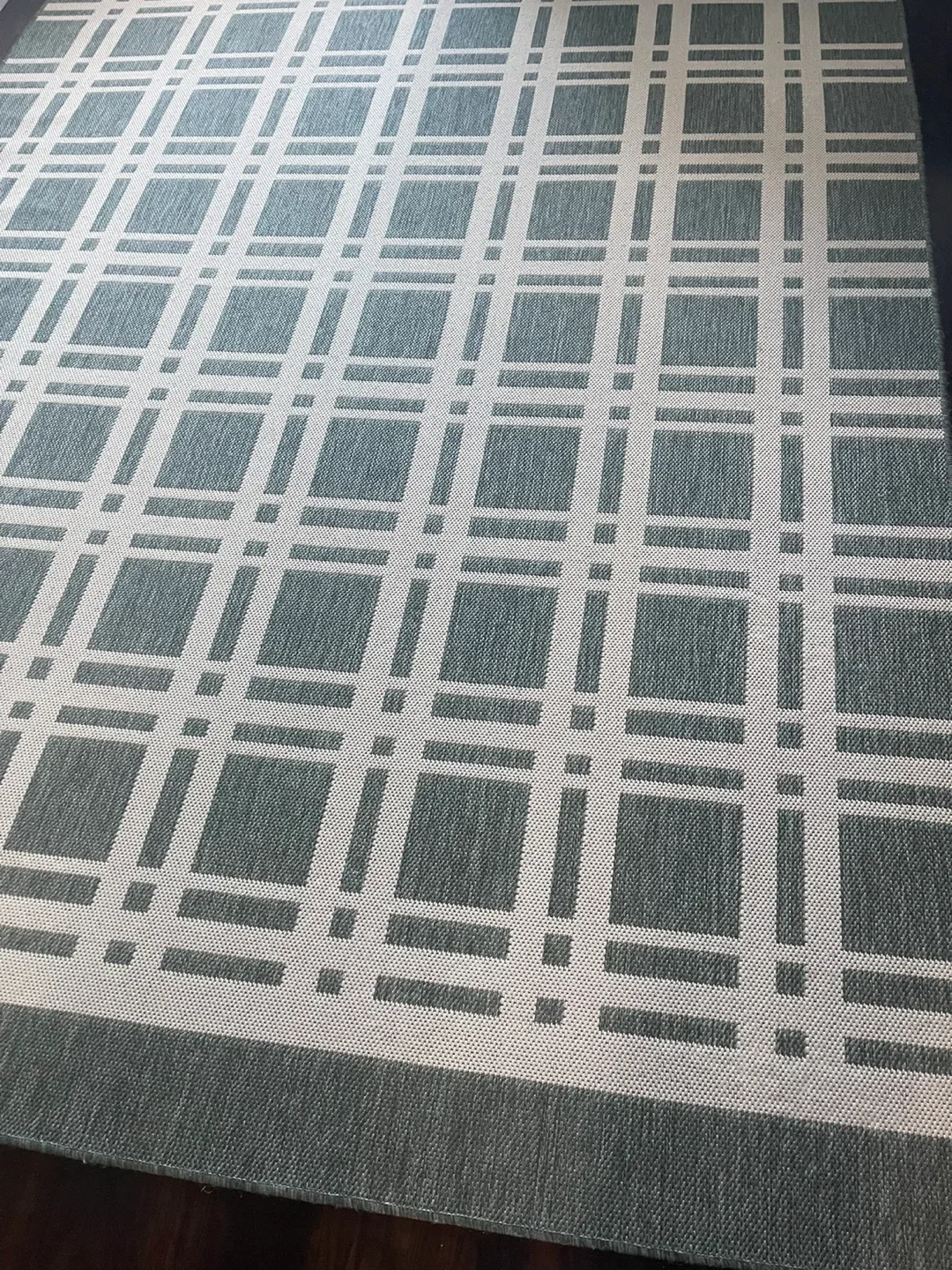 Hampton Bay 8x11 ft Indoor/Outdoor Area Rug (o.b.o)