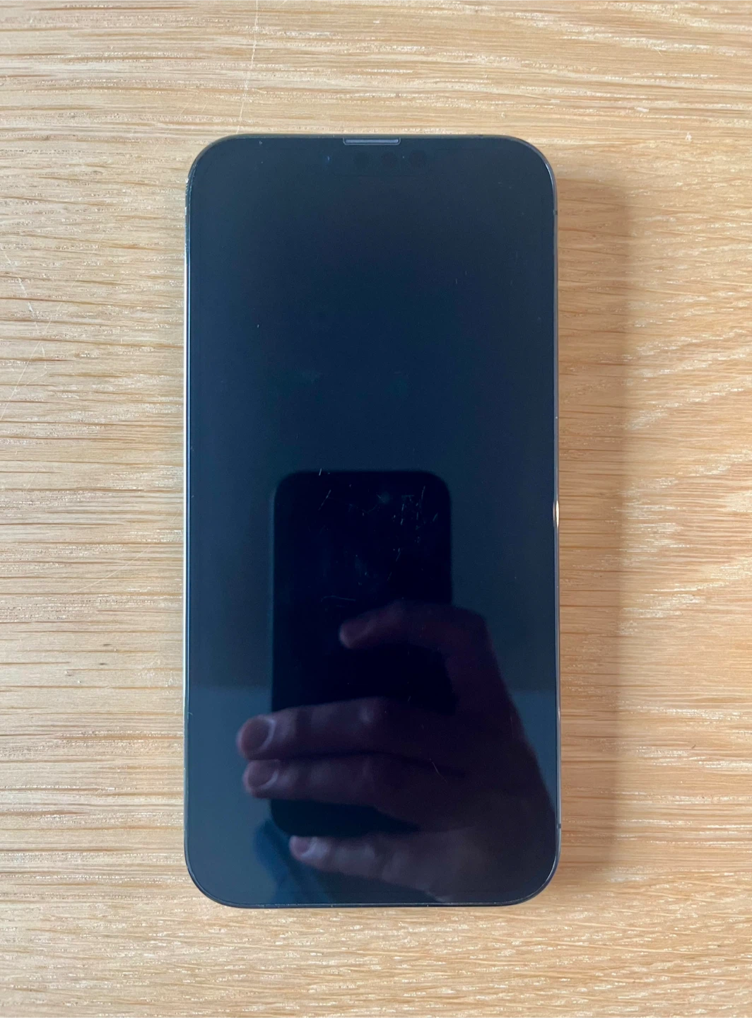 iPhone 13 Pro Max - 256GB - photo 4