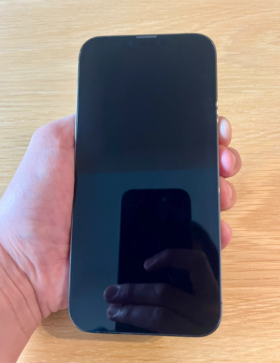 iPhone 13 Pro Max - 256GB - photo 5