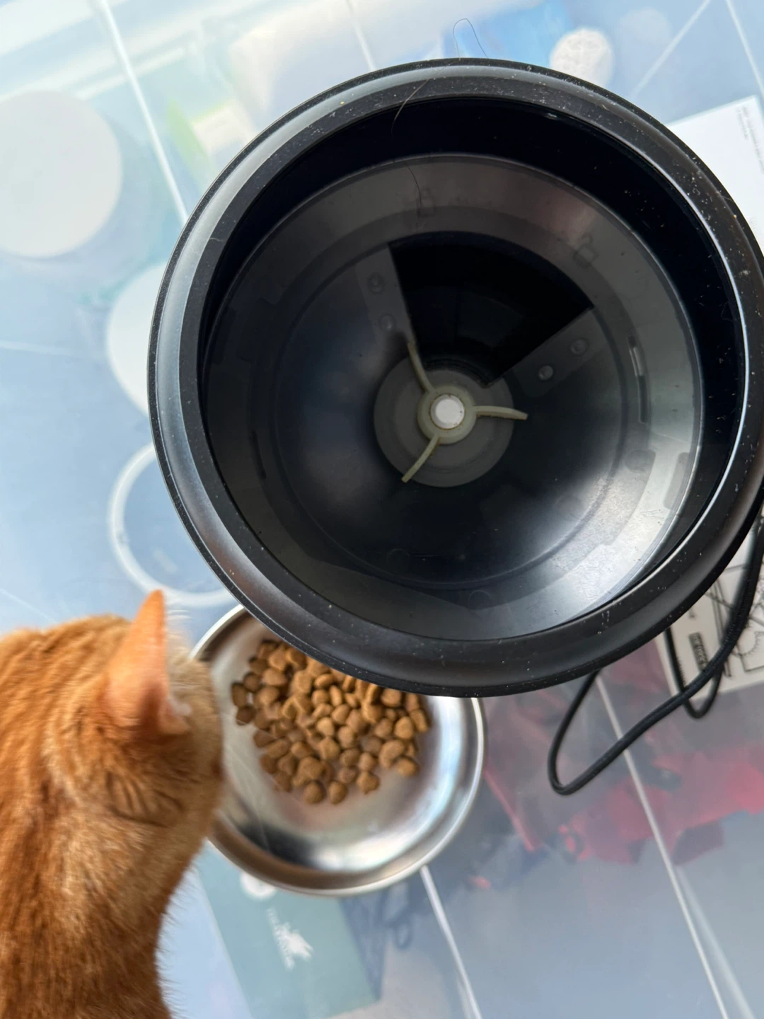 PETLIBRO Automatic Cat Feeder, 2L - photo 2