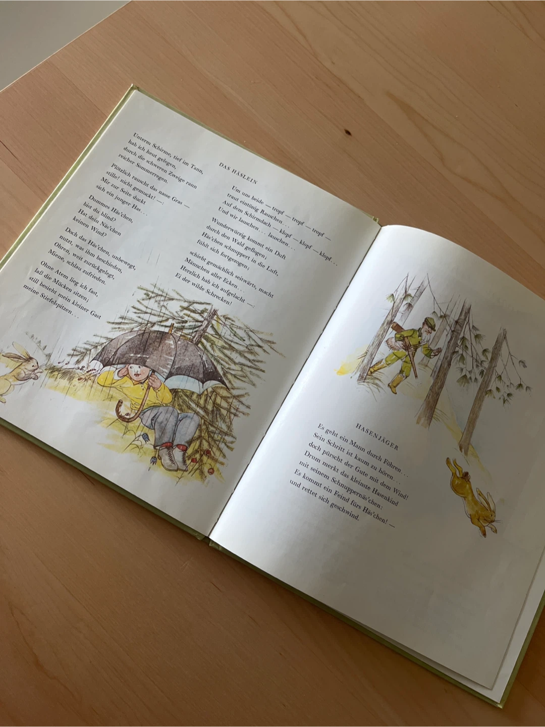 Liebe Sonne, liebe Erde Book - photo 2