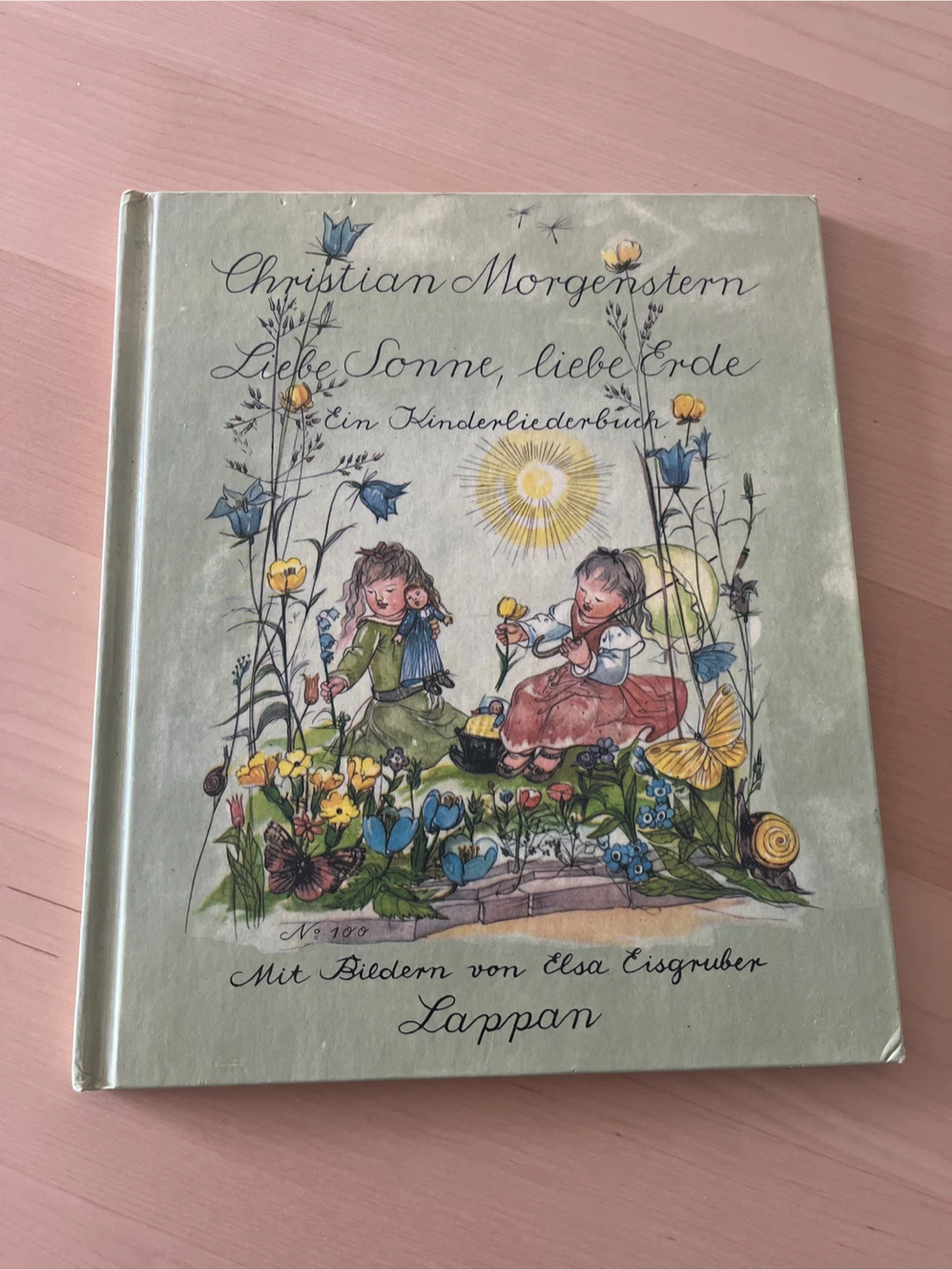 Liebe Sonne, liebe Erde Book