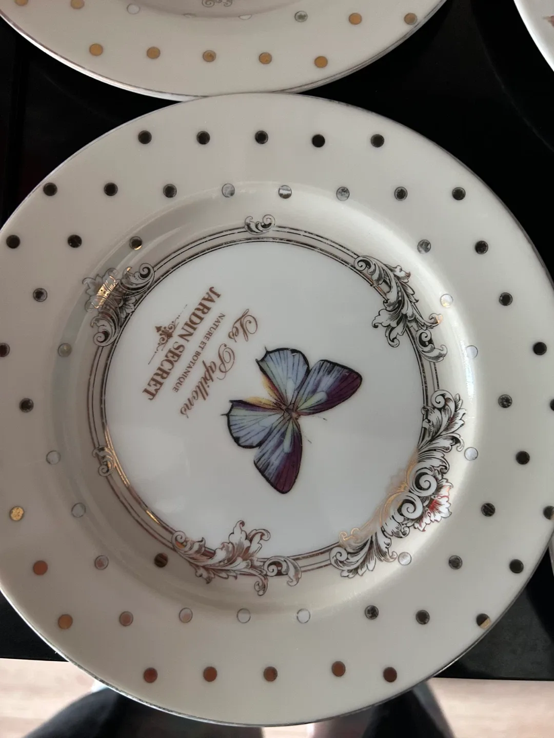 Cute Stokes Maryland & Jardin Secret Plates- 2$ for all 4 thumbnail