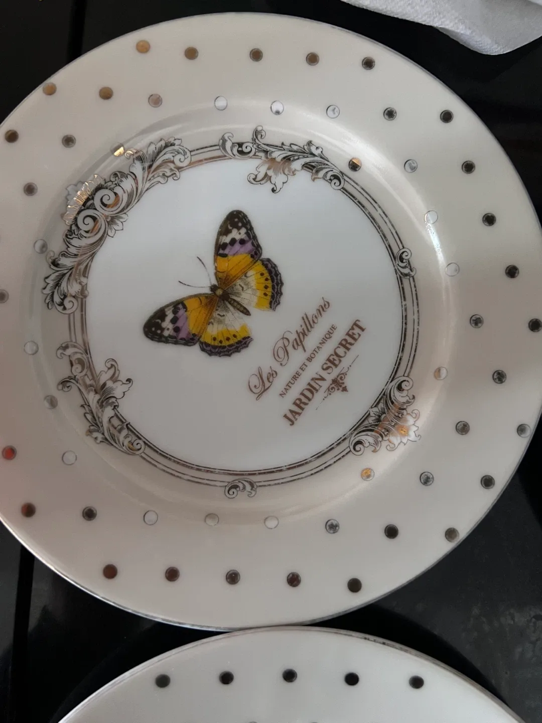 Cute Stokes Maryland & Jardin Secret Plates- 2$ for all 4 image indicator(4)