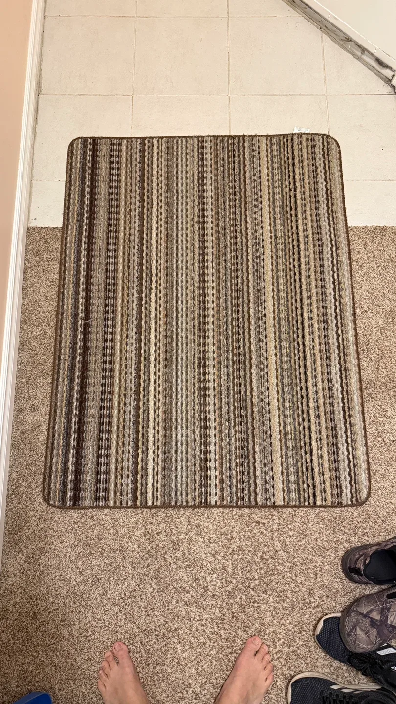 Striped Accent Rug 3 x 4 feet thumbnail