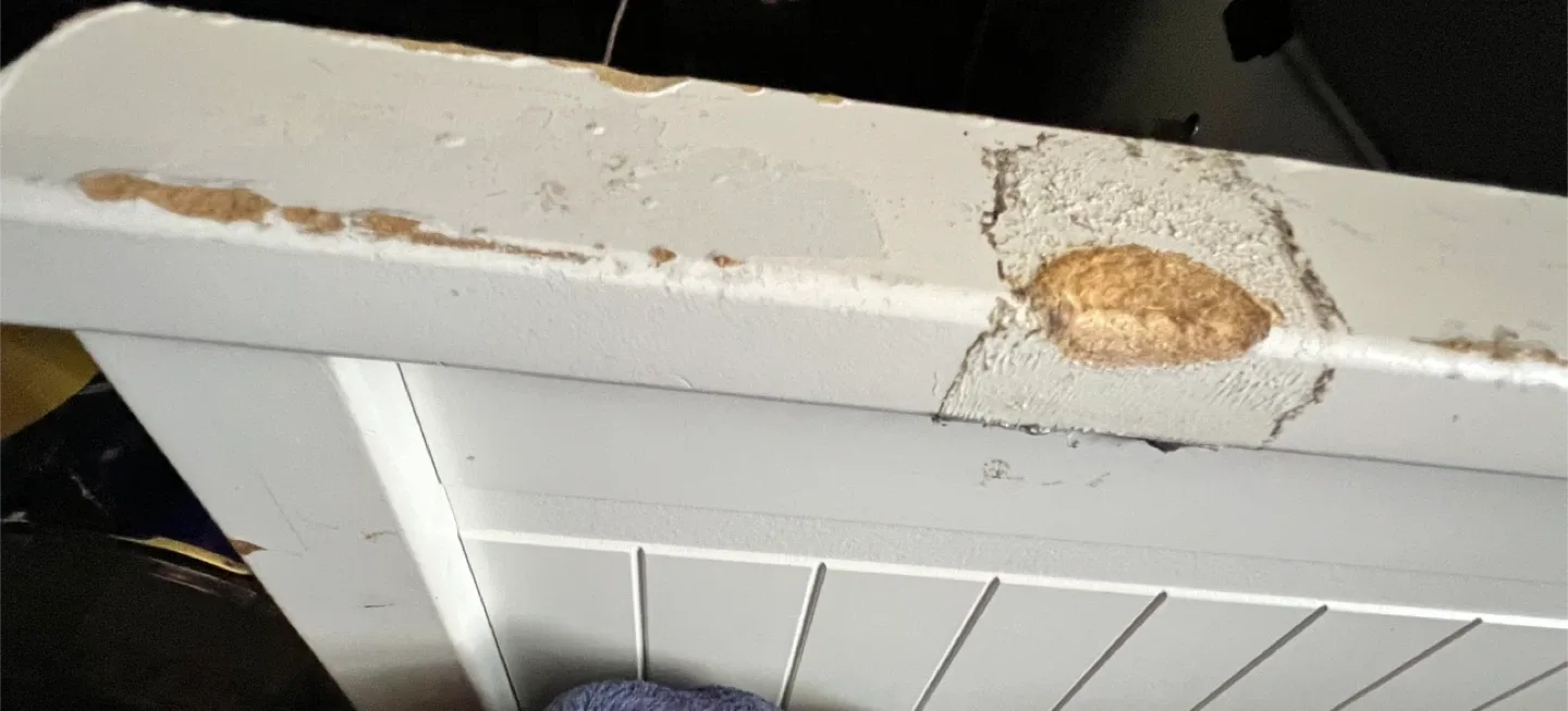 IKEA Twin Hemnes Daybed Frame - White image indicator(5)