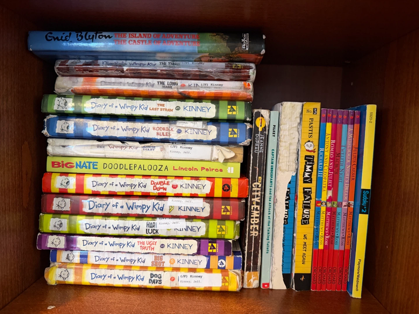 Kids' Books: Diary of a Wimpy Kid, Big Nate & More!