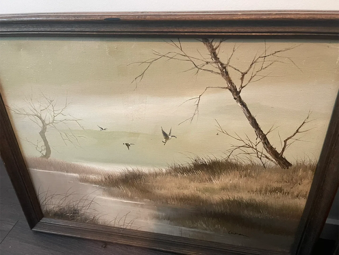 Framed Landscape Paintings
