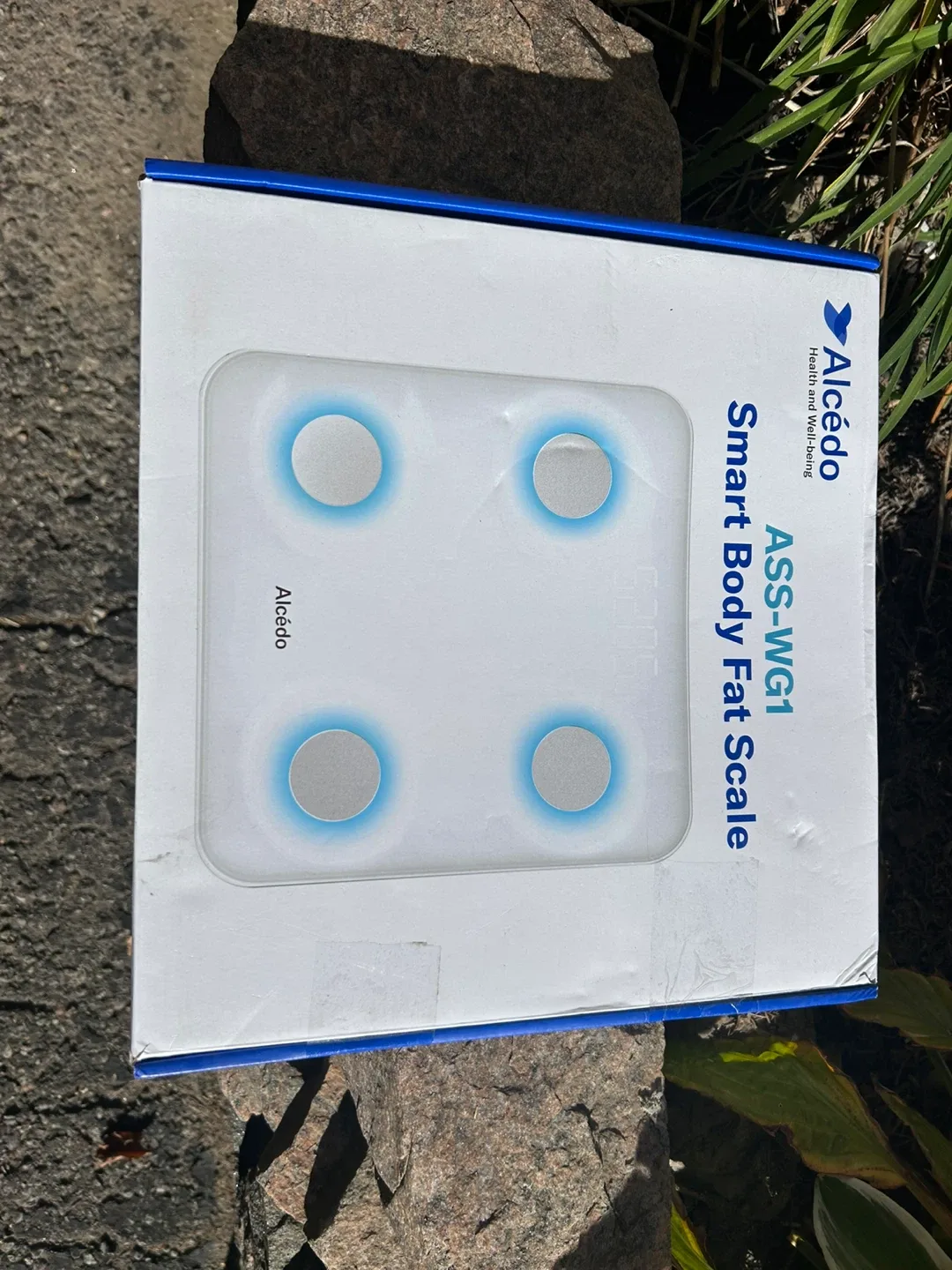 Alcedo Smart Body Fat Scale - New in Box!