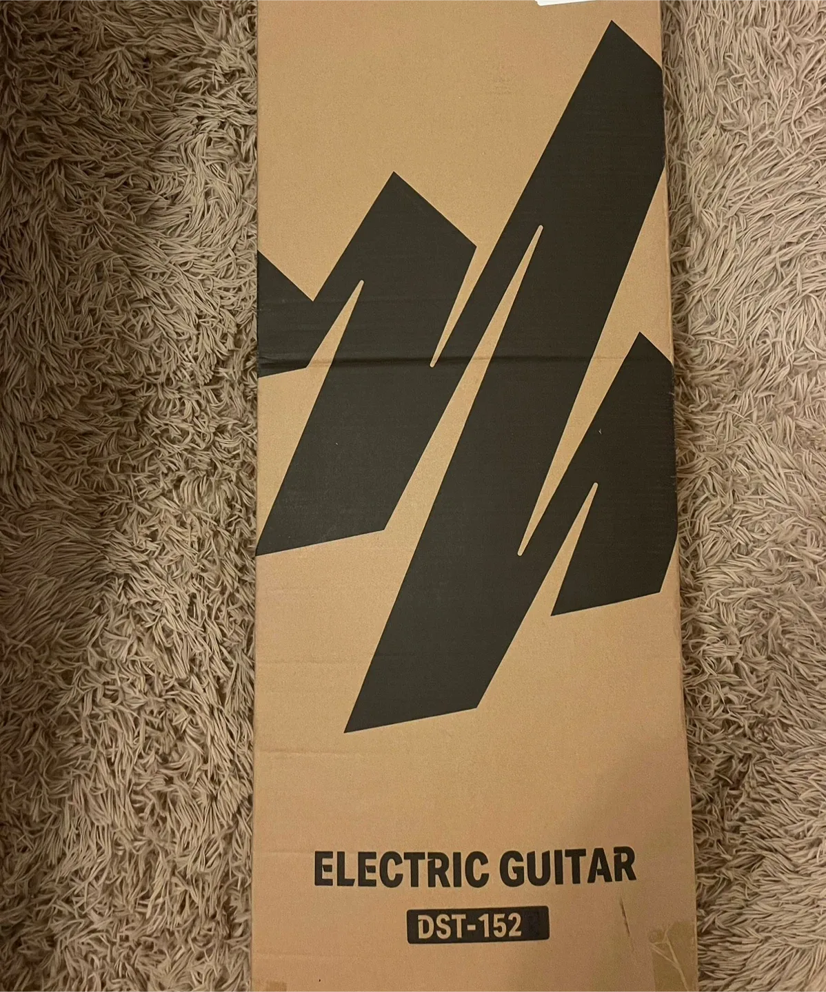 Donner DST-152 Electric Guitar w/ Amp & Case image indicator(2)