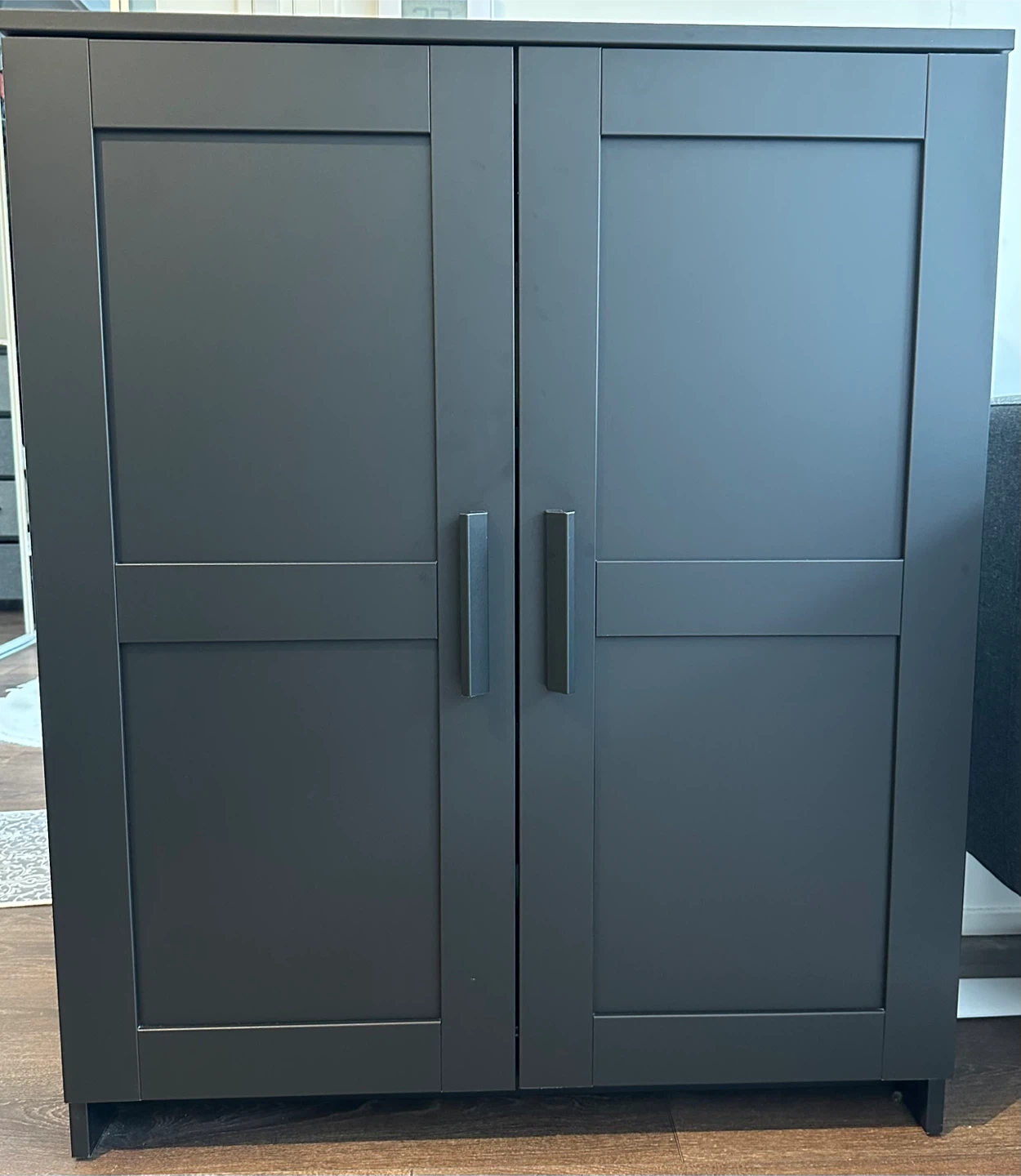 IKEA Black Cabinet with Doors - photo 2