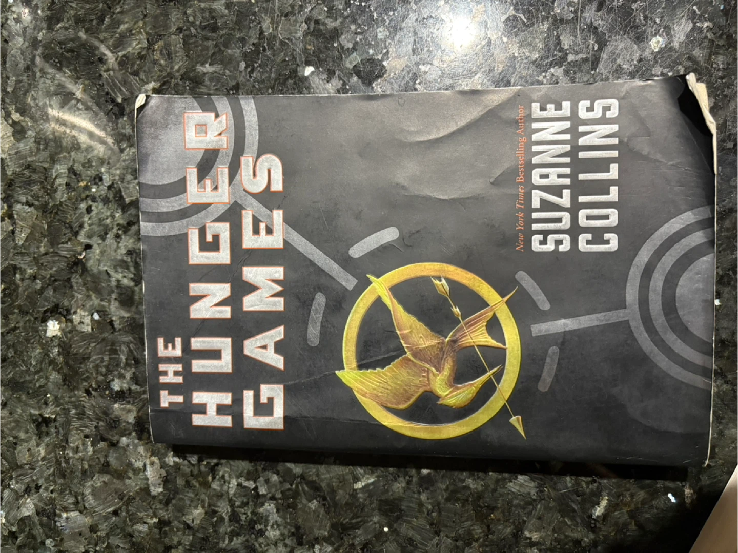 The Hunger Games Trilogy by Suzanne Collins Softcovers - photo 2
