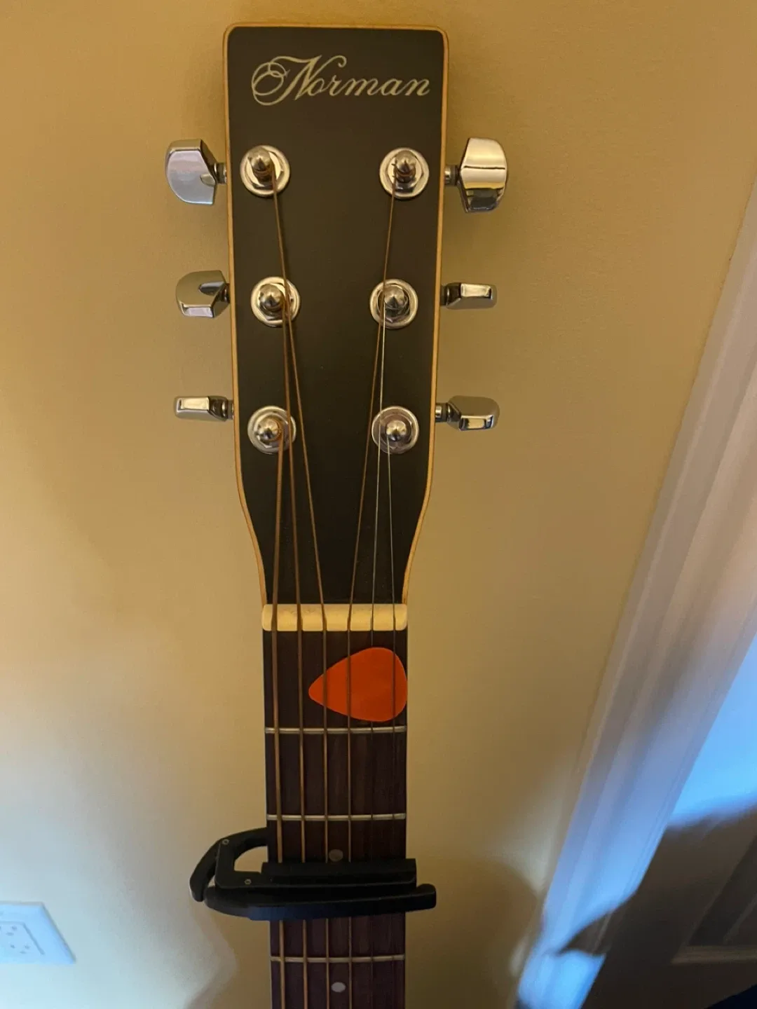 Norman Acoustic Guitar with Case image indicator(3)