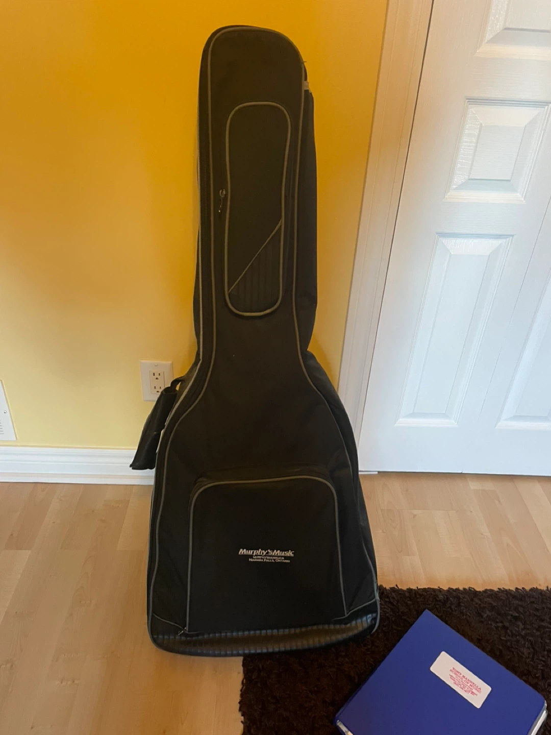 Norman Acoustic Guitar with Case - photo 2