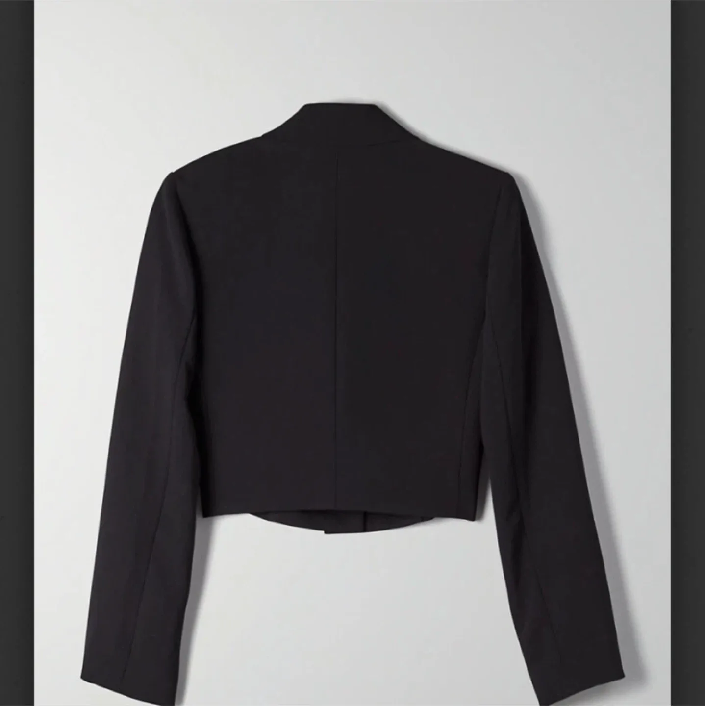 Aritzia Wilfred La Paz cropped blazer L image indicator(3)