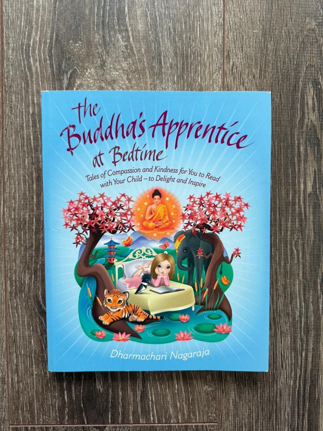 The Buddha's Apprentice at Bedtime story Book thumbnail