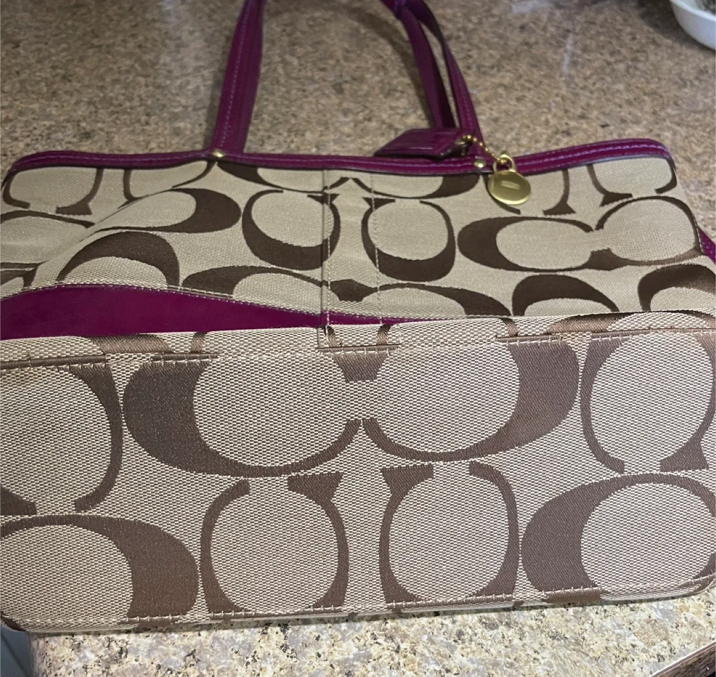 Coach Signature Tote Bag - Brown & Purple image indicator(4)