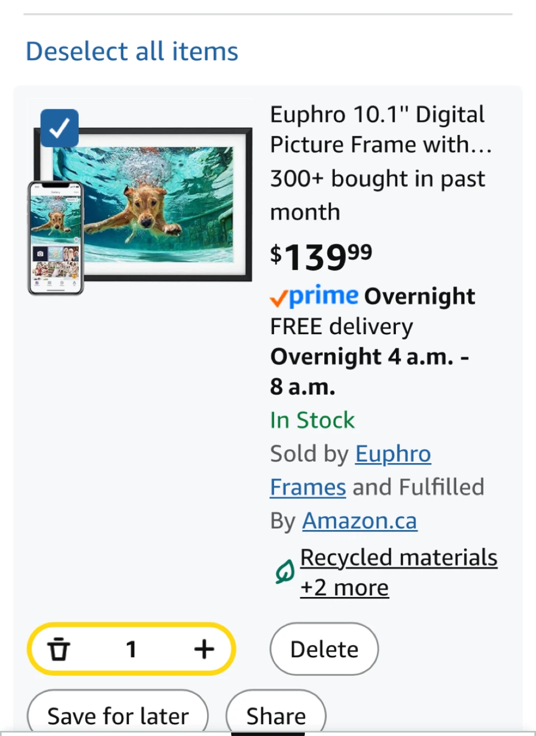 Euphro 10.1" Digital Picture Frame