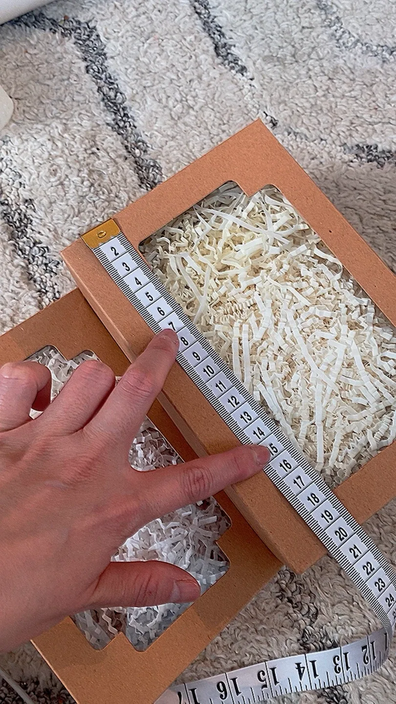 Empty Brown Box with Filler image indicator(5)