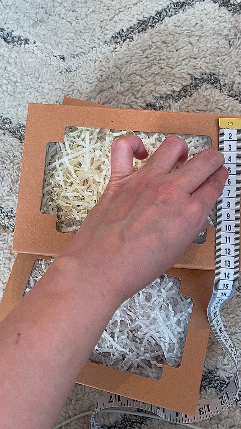 Empty Brown Box with Filler image indicator(7)