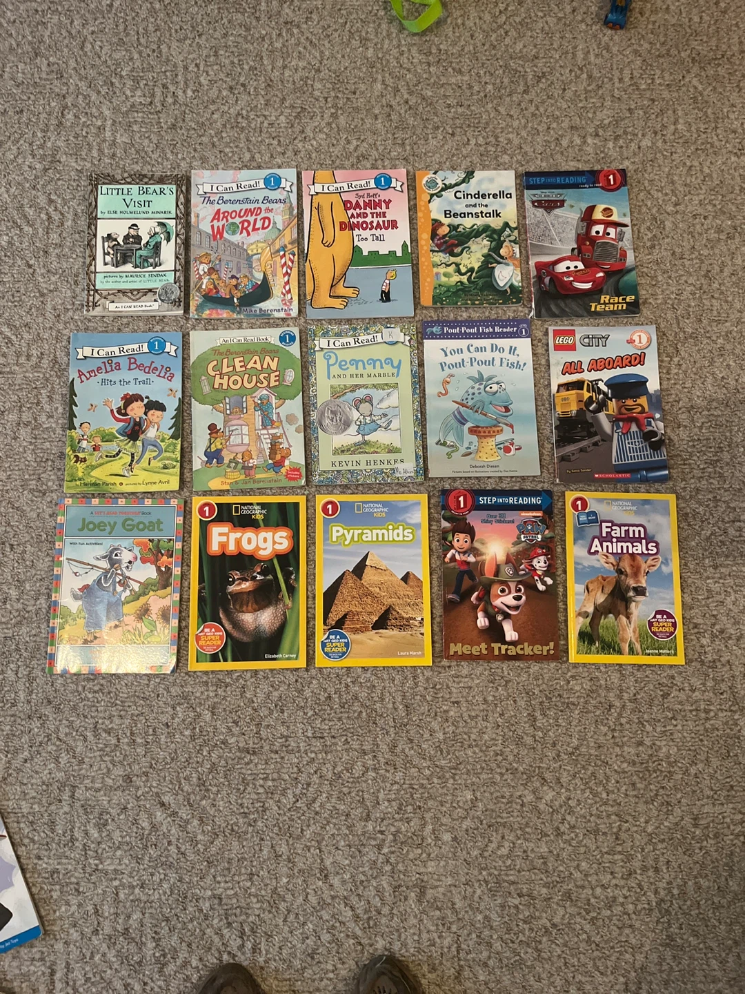 Kids' Level 1 Reading Books - Variety Pack!