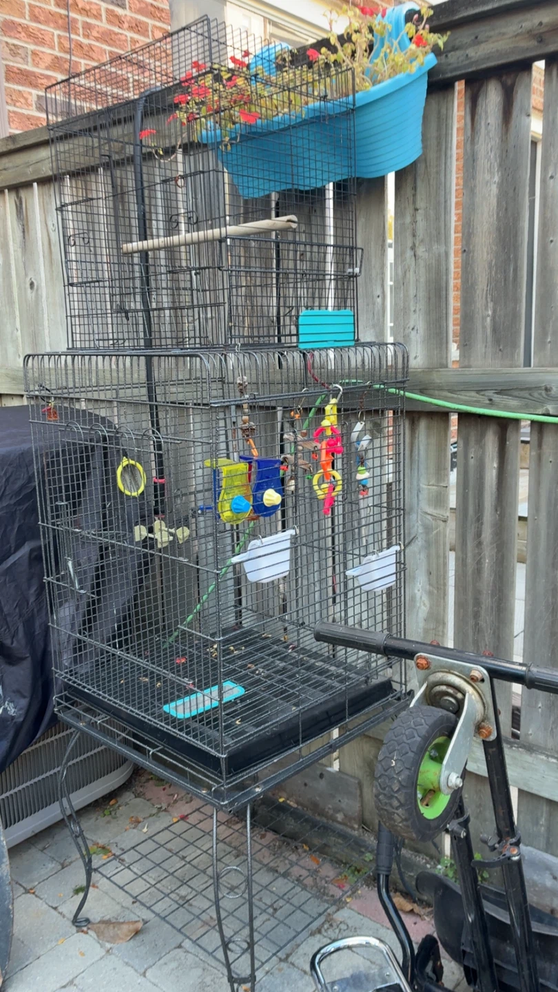 Large Black Bird Cage with Stand