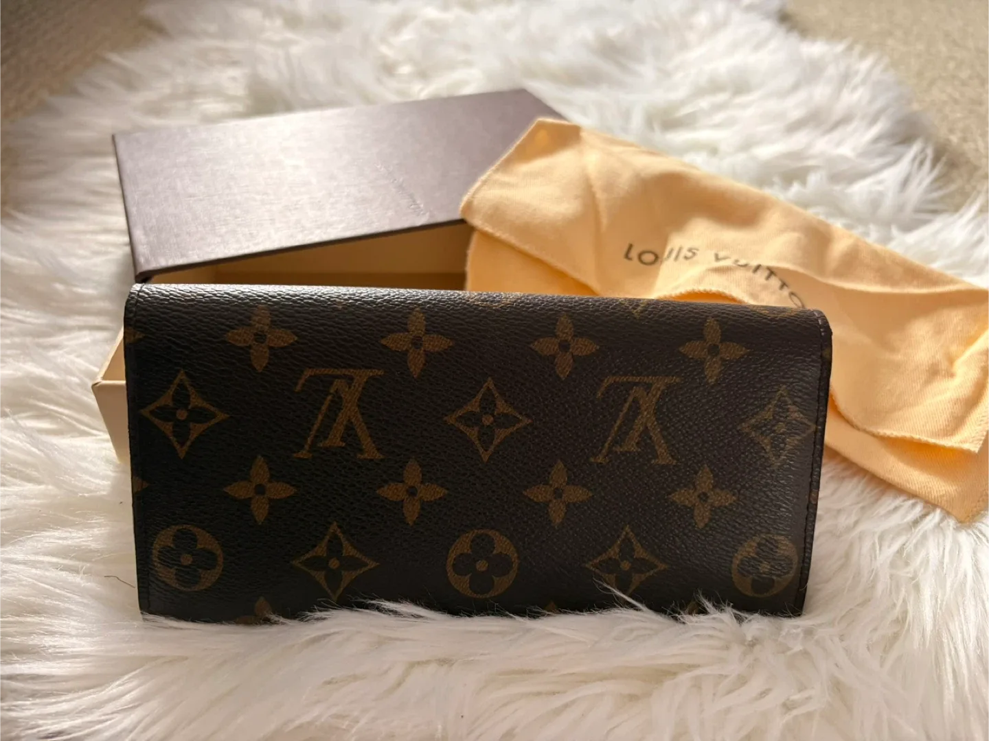 Louis Vuitton Monogram Canvas Wallet image indicator(2)