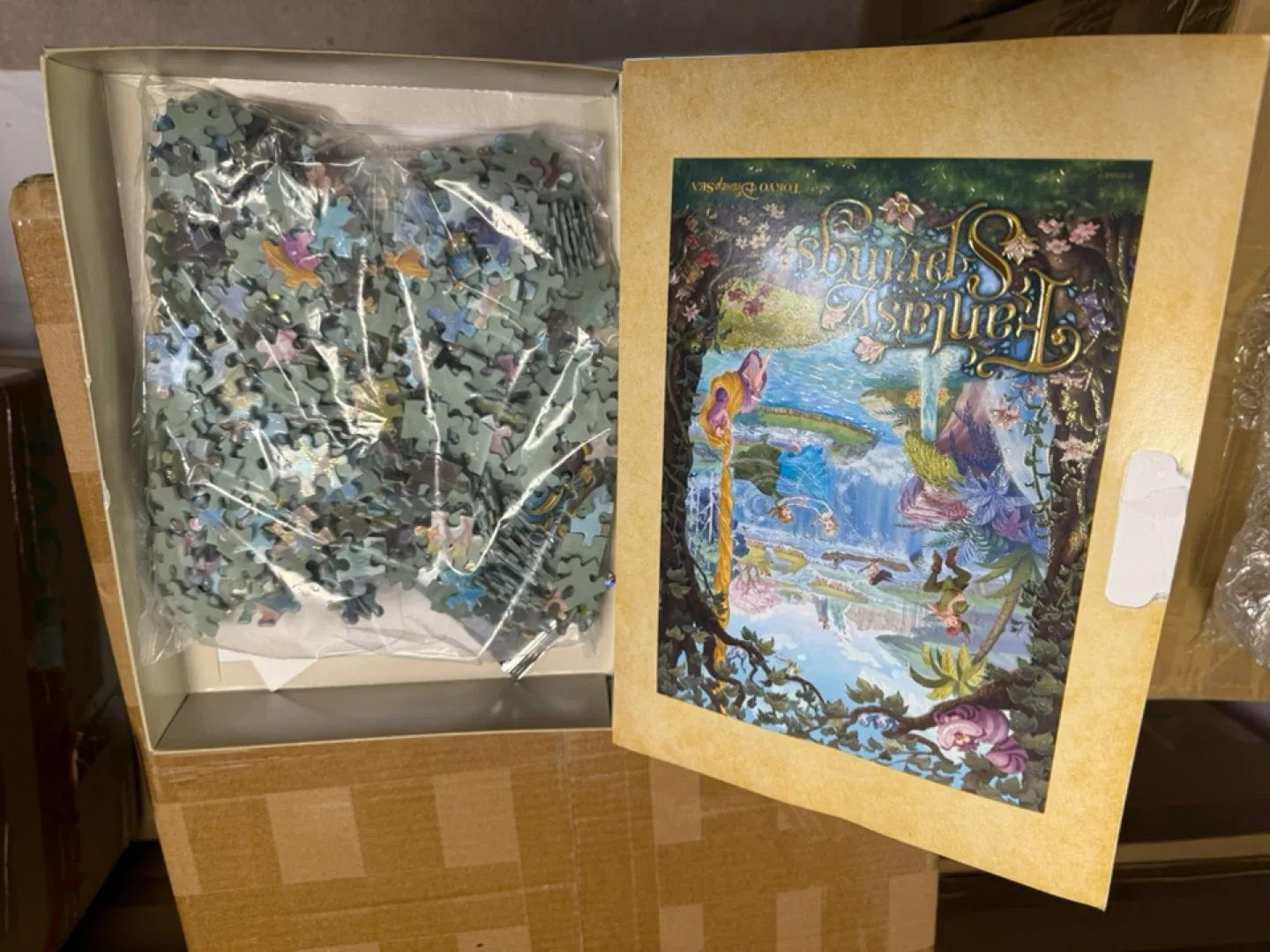 Fantasy Springs Tokyo DisneySea Puzzle image indicator(3)