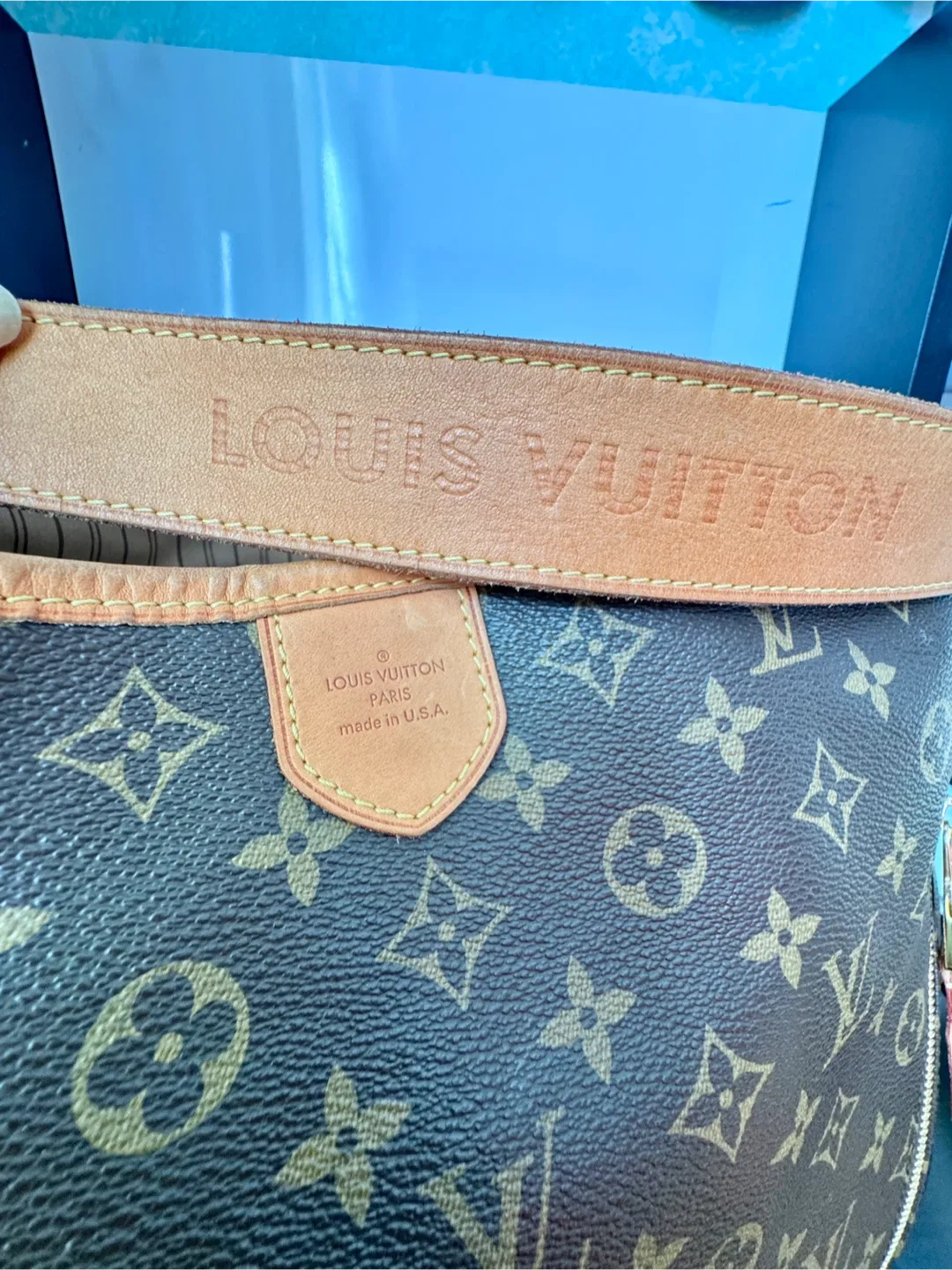 Louis Vuitton  delightful GM  Bag image indicator(10)