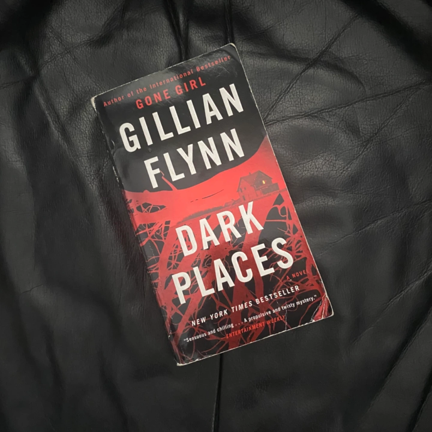 Dark Places by Gillian Flynn