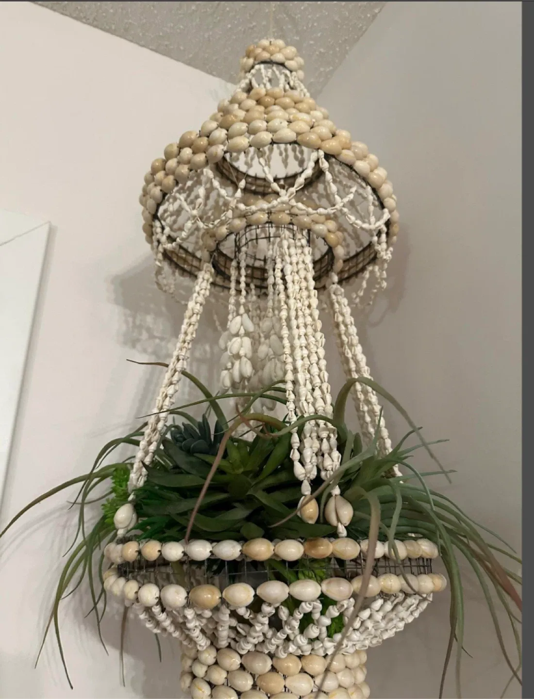 Seashell Hanging Planter image indicator(2)