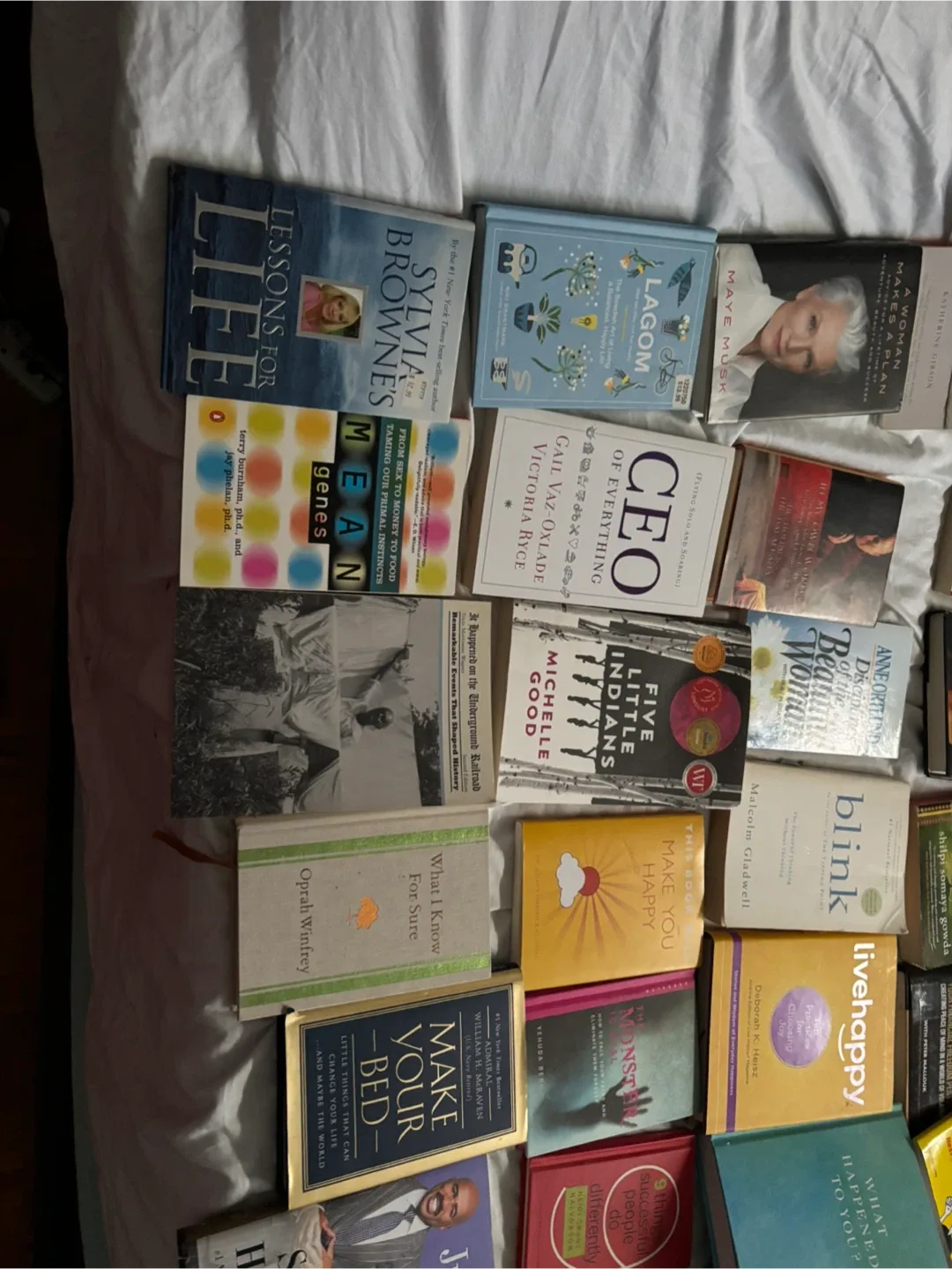 Mixed Lot of Assorted Books thumbnail