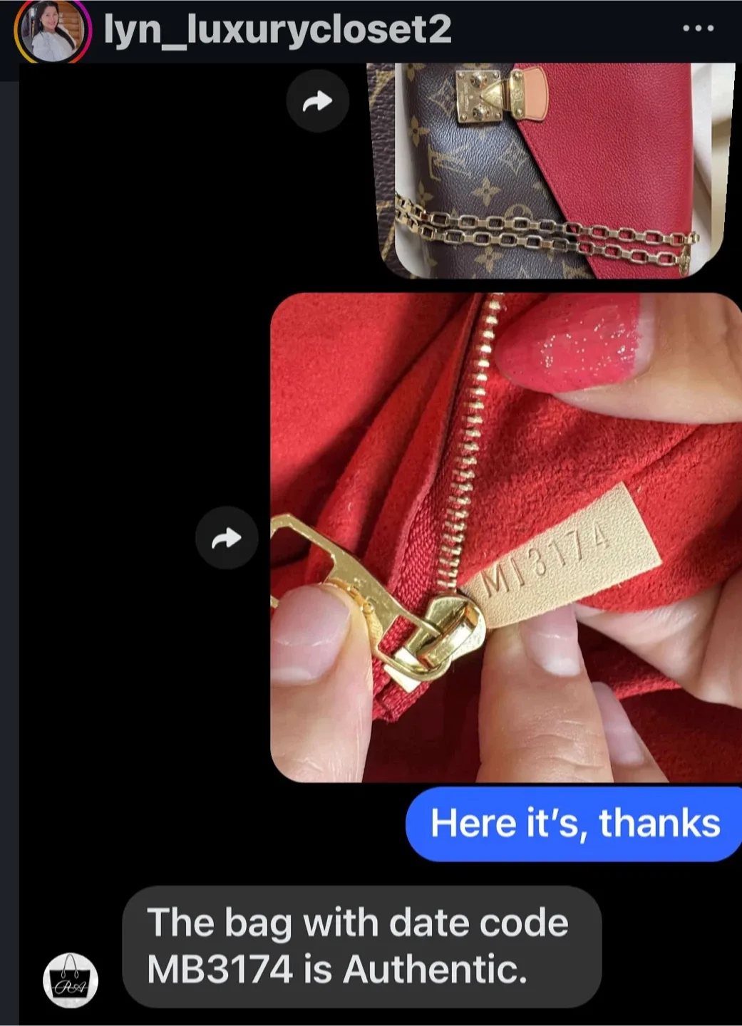 Louis Vuitton Pallas Chain  bag image indicator(7)