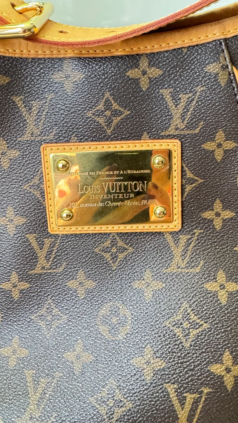 Louis Vuitton Monogram  Galleria pm   PM image indicator(6)